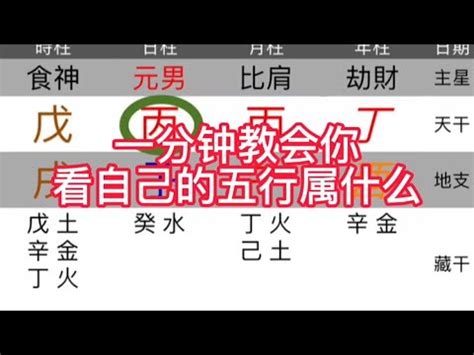 木火命|免費生辰八字五行屬性查詢、算命、分析命盤喜用神、喜忌